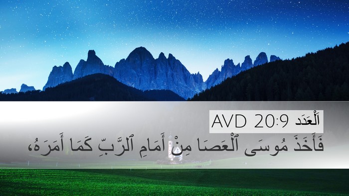اَلْعَدَد 20:9 AVD Bible Verse Image