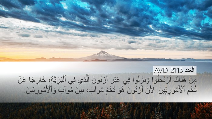 اَلْعَدَد 21:13 AVD Bible Verse Image