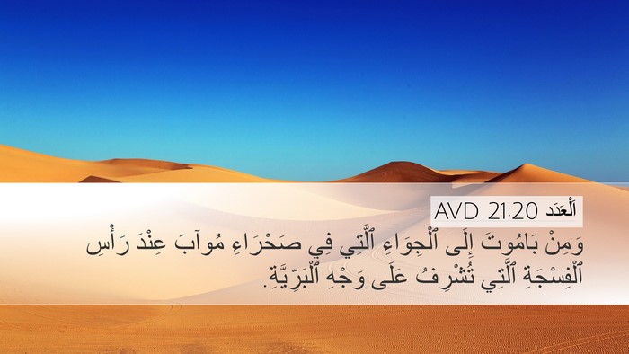اَلْعَدَد 21:20 AVD Bible Verse Image