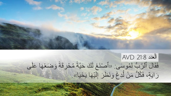 اَلْعَدَد 21:8 AVD Bible Verse Image