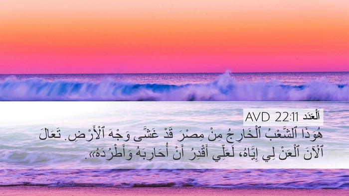 اَلْعَدَد 22:11 AVD Bible Verse Image