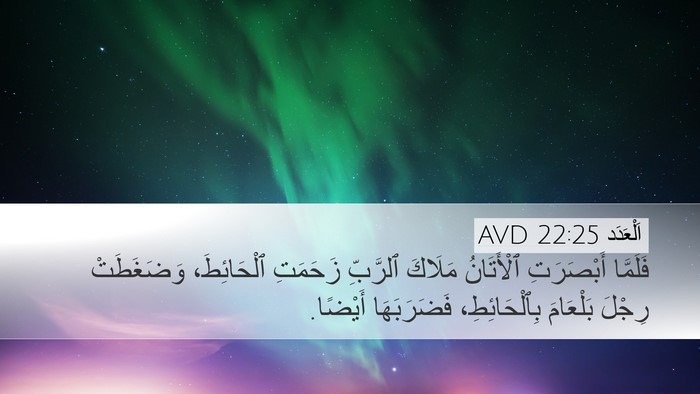 اَلْعَدَد 22:25 AVD Desktop Wallpaper - فَلَمَّا أَبْصَرَتِ - Desktop Bible Verse Wallpaper