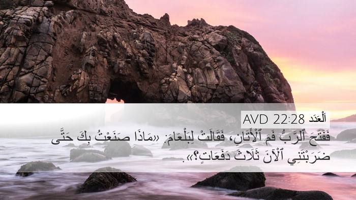 اَلْعَدَد 22:28 AVD Bible Verse Image