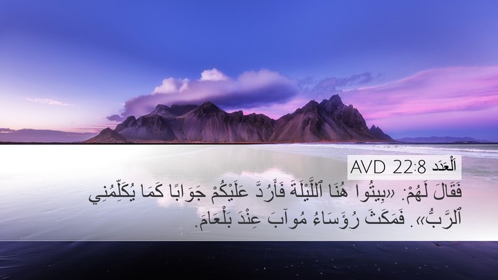 اَلْعَدَد 22:8 AVD Bible Verse Image