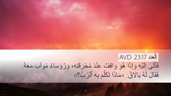 اَلْعَدَد 23:17 AVD Desktop Wallpaper - فَأَتَى إِلَيْهِ وَإِذَا - Desktop Bible Verse Wallpaper