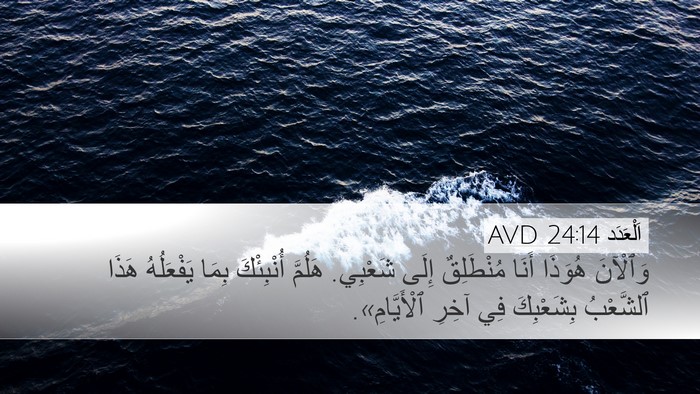 اَلْعَدَد 24:14 AVD Bible Verse Image
