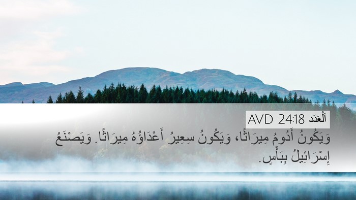 اَلْعَدَد 24:18 AVD Bible Verse Image