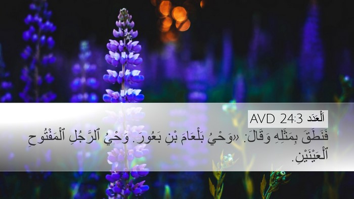 اَلْعَدَد 24:3 AVD Bible Verse Image
