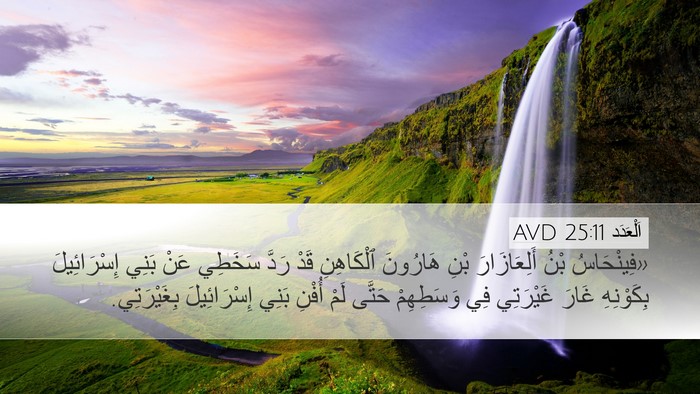 اَلْعَدَد 25:11 AVD Bible Verse Image