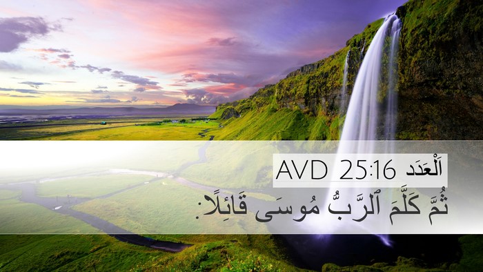 اَلْعَدَد 25:16 AVD Desktop Wallpaper - ثُمَّ كَلَّمَ ٱلرَّبُّ - Desktop Bible Verse Wallpaper