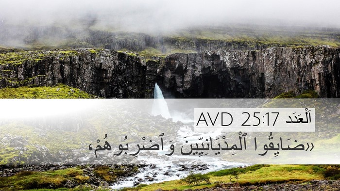 اَلْعَدَد 25:17 AVD Desktop Wallpaper - «ضَايِقُوا - Desktop Bible Verse Wallpaper