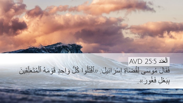 اَلْعَدَد 25:5 AVD Bible Verse Image