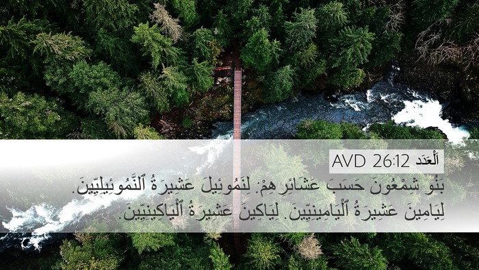 اَلْعَدَد 26:12 AVD Bible Verse Image