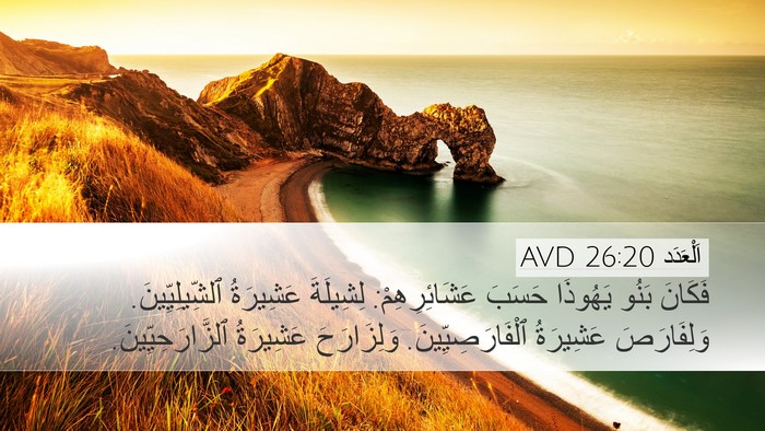 اَلْعَدَد 26:20 AVD Bible Verse Image