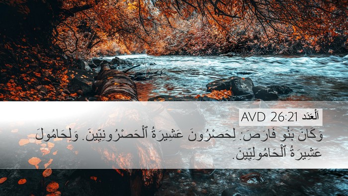 اَلْعَدَد 26:21 AVD Bible Verse Image