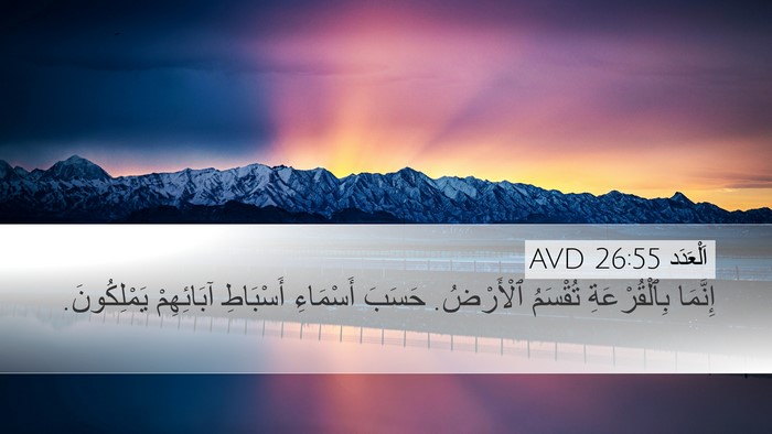 اَلْعَدَد 26:55 AVD Bible Verse Image