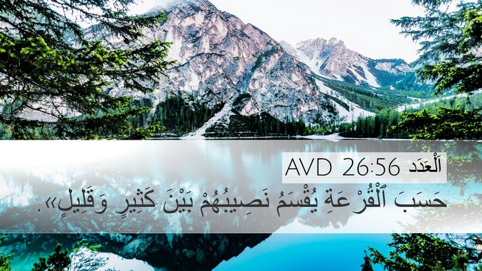 اَلْعَدَد 26:56 AVD Bible Verse Image