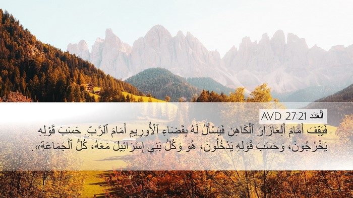 اَلْعَدَد 27:21 AVD Bible Verse Image