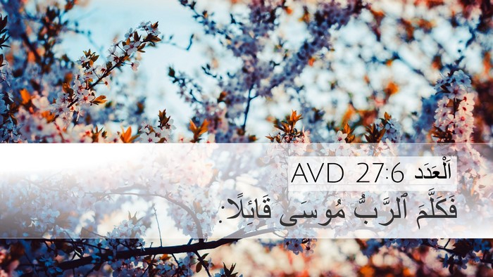 اَلْعَدَد 27:6 AVD Bible Verse Image
