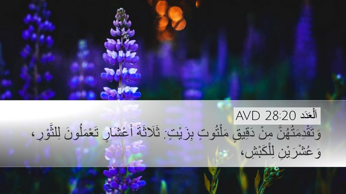 اَلْعَدَد 28:20 AVD Bible Verse Image