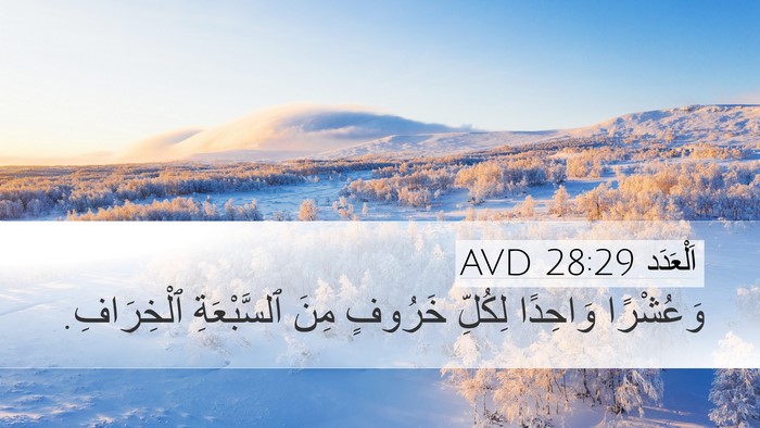 اَلْعَدَد 28:29 AVD Desktop Wallpaper - وَعُشْرًا وَاحِدًا - Desktop Bible Verse Wallpaper