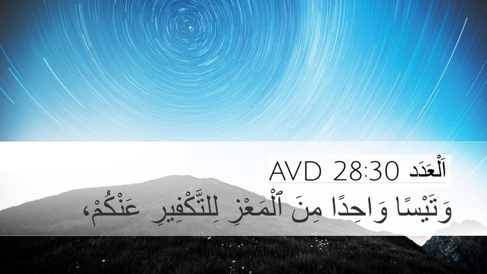 اَلْعَدَد 28:30 AVD Bible Verse Image