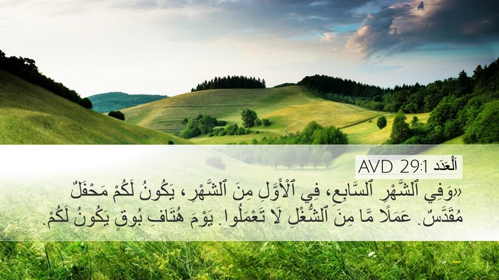 اَلْعَدَد 29:1 AVD Bible Verse Image