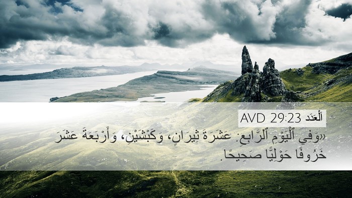 اَلْعَدَد 29:23 AVD Desktop Wallpaper - «وَفِي ٱلْيَوْمِ - Desktop Bible Verse Wallpaper