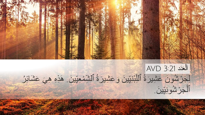 اَلْعَدَد 3:21 AVD Bible Verse Image