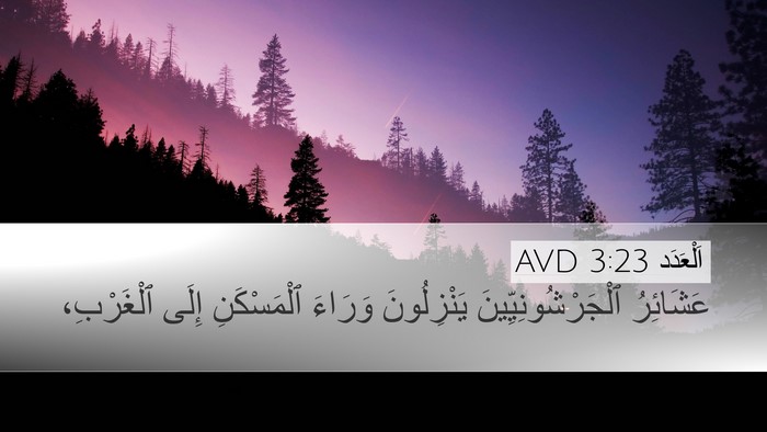 اَلْعَدَد 3:23 AVD Bible Verse Image