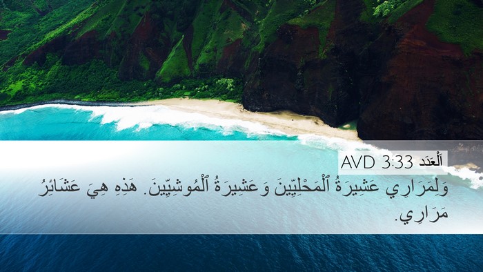 اَلْعَدَد 3:33 AVD Bible Verse Image