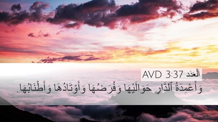 اَلْعَدَد 3:37 AVD Bible Verse Image
