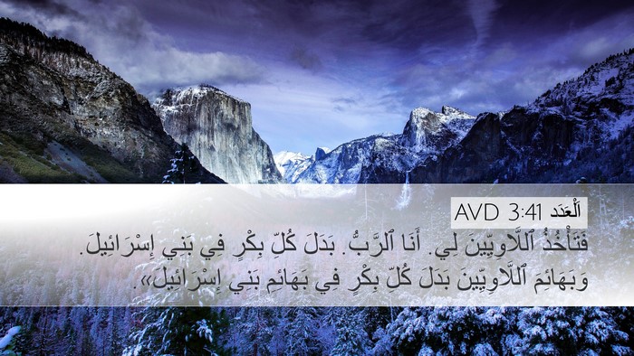 اَلْعَدَد 3:41 AVD Desktop Wallpaper - فَتَأْخُذُ ٱللَّاوِيِّينَ - Desktop Bible Verse Wallpaper