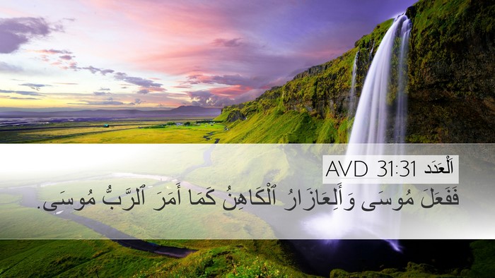 اَلْعَدَد 31:31 AVD Desktop Wallpaper - فَفَعَلَ مُوسَى - Desktop Bible Verse Wallpaper