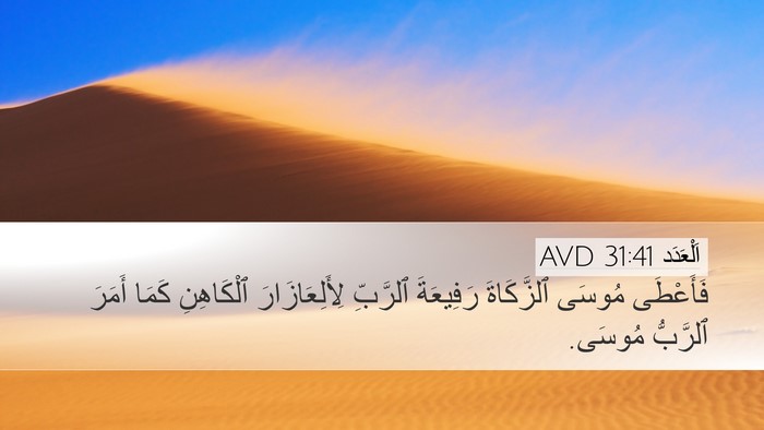 اَلْعَدَد 31:41 AVD Bible Verse Image