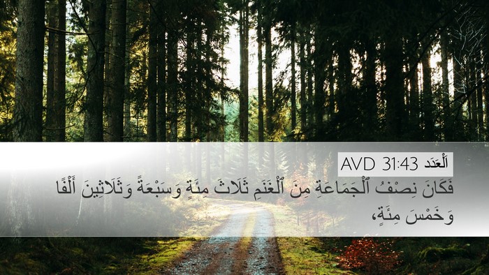 اَلْعَدَد 31:43 AVD Desktop Wallpaper - فَكَانَ نِصْفُ - Desktop Bible Verse Wallpaper
