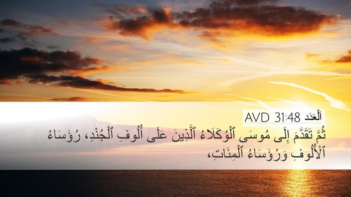 اَلْعَدَد 31:48 AVD Bible Verse Image