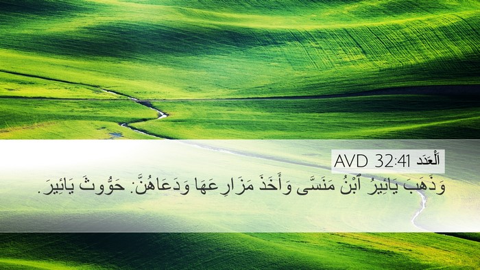 اَلْعَدَد 32:41 AVD Bible Verse Image