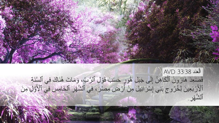 اَلْعَدَد 33:38 AVD Bible Verse Image