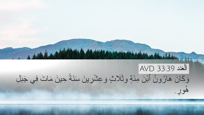 اَلْعَدَد 33:39 AVD Desktop Wallpaper - وَكَانَ هَارُونُ ٱبْنَ - Desktop Bible Verse Wallpaper