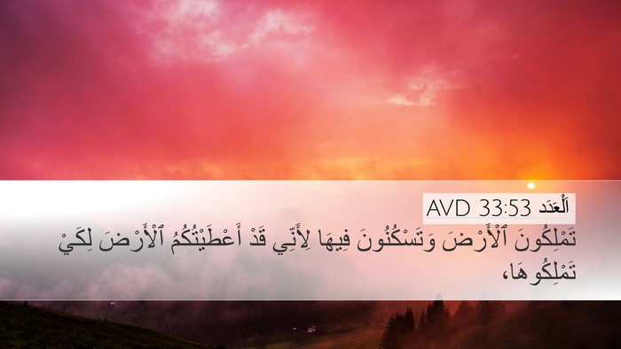 اَلْعَدَد 33:53 AVD Bible Verse Image