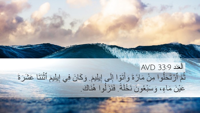 اَلْعَدَد 33:9 AVD Desktop Wallpaper - ثُمَّ ٱرْتَحَلُوا مِنْ - Desktop Bible Verse Wallpaper