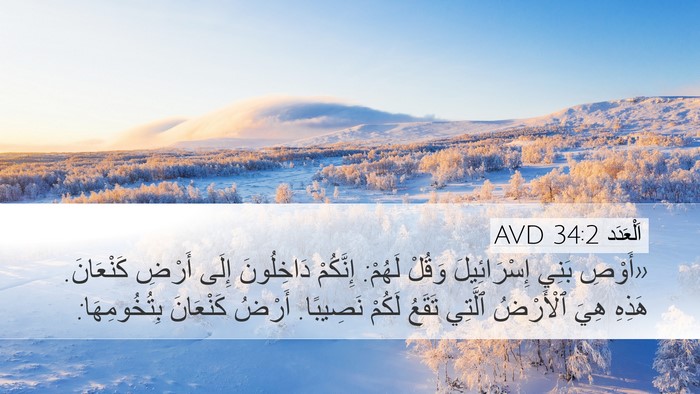 اَلْعَدَد 34:2 AVD Bible Verse Image