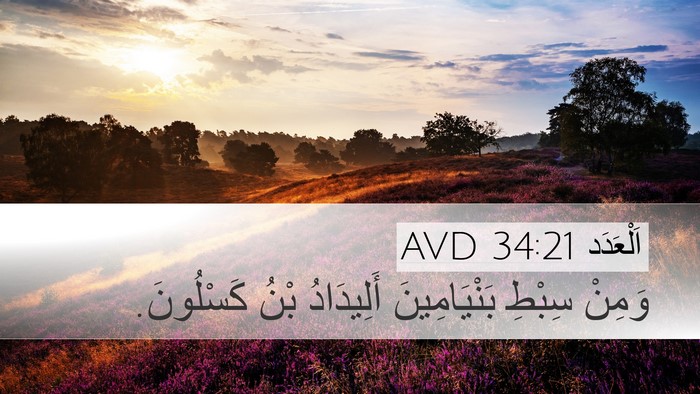 اَلْعَدَد 34:21 AVD Desktop Wallpaper - وَمِنْ سِبْطِ - Desktop Bible Verse Wallpaper