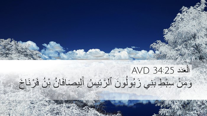 اَلْعَدَد 34:25 AVD Desktop Wallpaper - وَمِنْ سِبْطِ بَنِي - Desktop Bible Verse Wallpaper