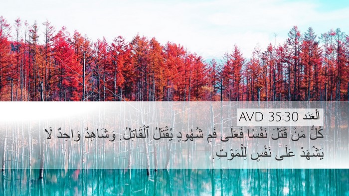اَلْعَدَد 35:30 AVD Bible Verse Image