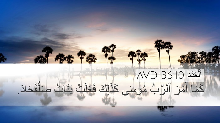 اَلْعَدَد 36:10 AVD Bible Verse Image