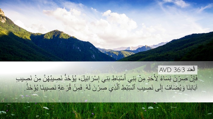 اَلْعَدَد 36:3 AVD Desktop Wallpaper - فَإِنْ صِرْنَ نِسَاءً - Desktop Bible Verse Wallpaper