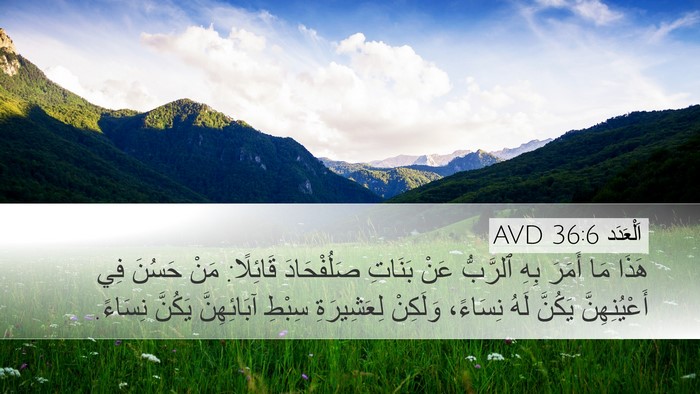 اَلْعَدَد 36:6 AVD Bible Verse Image
