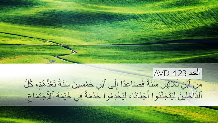 اَلْعَدَد 4:23 AVD Bible Verse Image